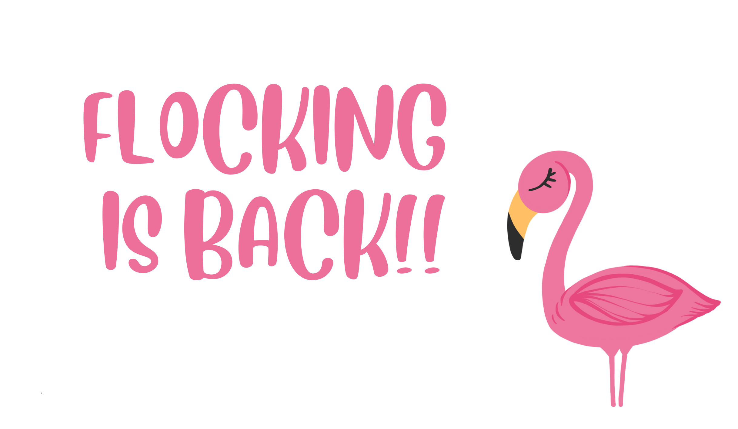 Flocking is back!